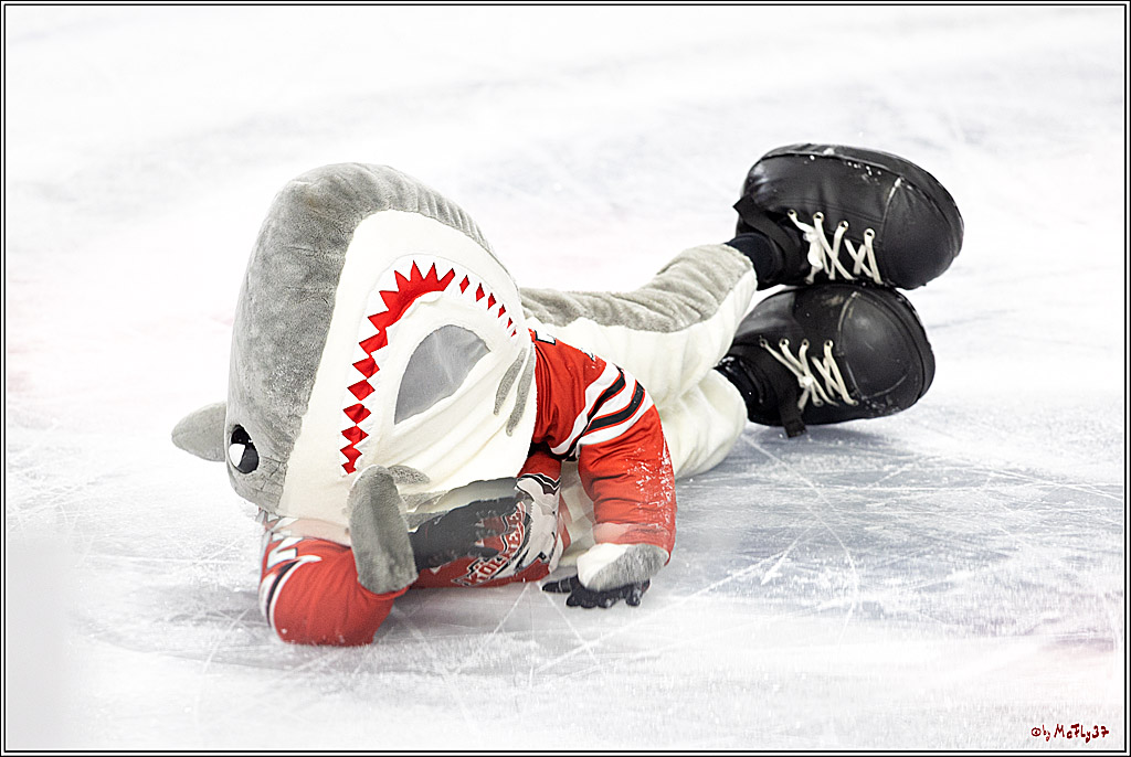 PENNY DEL - Viertelfinale;  Koelner Haie - Adler Mannheim; Koeln, 17.03.2023